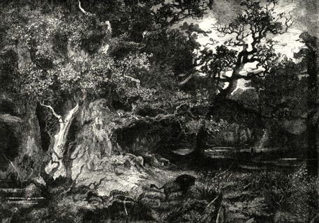 'An Old German Forest',1890