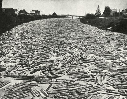'On their Way to the Saw Mills', c1948