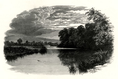 'On the Avon,
