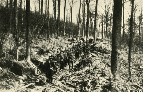 'Canadian Infantry in a Wood at the Front', First World War, 1915-1916, (c1920). Creator: Unknown.