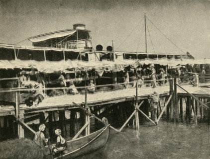 'Indian Horse Transport for the Tigris Force', First World War, 1916, (c1920). Creator: Unknown.