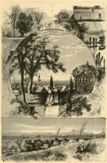 'Scenes at Springfield', 1874.  Creator: John J. Harley.