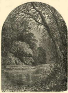 'Moss Islands, in the Juniata', 1874. Creator: W.H. Morse.