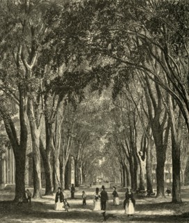 'The New-Haven Elms', 1874. Creator: Henry Duff Linton.