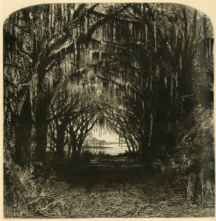 'Bonaventure Cemetery', 1872.  Creator: John Filmer.
