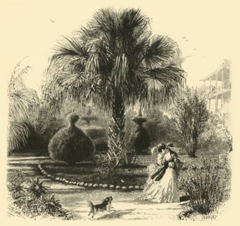 'A Garden in Charleston', 1872.  Creator: John J. Harley.