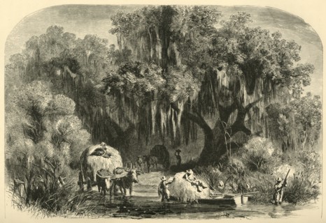 'The Moss-Gatherers', 1872.  Creator: Alfred Waud.