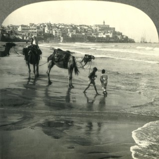 'Jaffa, the Joppa of Bible Times, Palestine', c1930s. Creator: Unknown.
