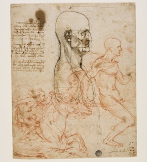 Human bust in profile with study of proportions, c. 1490-1499. Creator: Leonardo da Vinci (1452-1519).