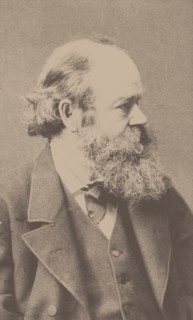 Portrait of the composer Robert von Hornstein (1833-1890). Creator: Hanfstaengl, Franz (1804-1877).