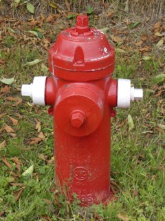 Fire Hydrant in British Columbia, Canada. Creator: Unknown.