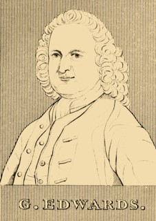 'G. Edwards', (1694- 1773), 1830. Creator: Unknown.