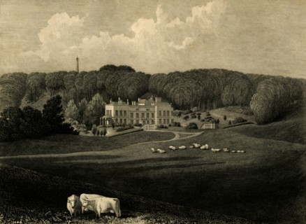 'Muntham', 1835. Creator: Charles J Smith.