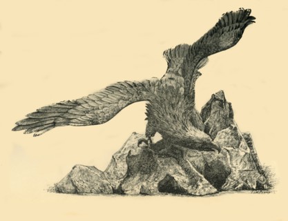 Incense burner in the form of an eagle, c1860, (1881).  Creator: J. I. Williamson.