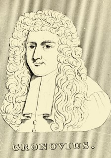 'Gronovius', (1690-1762), 1830. Creator: Unknown.
