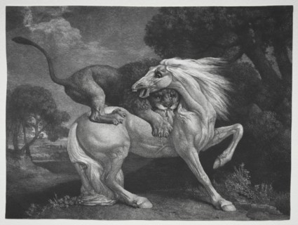 A Horse Attacked by a Lion, 1788. Creator: George Stubbs (British, 1724-1806).