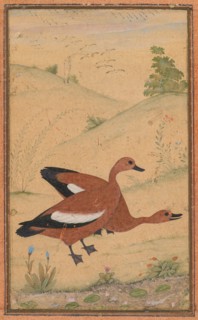 A pair of Brahminy ducks, c. 1595; borders added probably 1800s. Creator: Unknown.