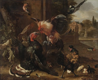 A Rooster and Turkey Fighting, c. 1680. Creator: Melchior de Hondecoeter (Dutch, 1636-1695).