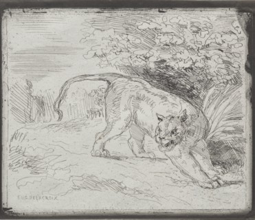 A Trapped Tiger, 1854. Creator: Eugène Delacroix (French, 1798-1863).