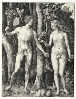 Adam and Eve, 1504. Creator: Albrecht Dürer (German, 1471-1528).