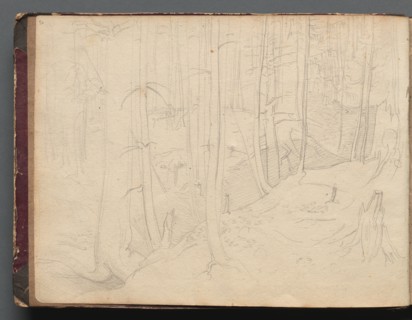 Album with Views of Rome and Surroundings, Landscape Studies, page 01b: Roman Landscape. Creator: Franz Johann Heinrich Nadorp (German, 1794-1876).