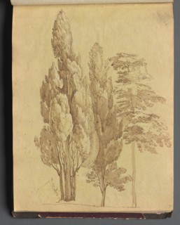 Album with Views of Rome and Surroundings, Landscape Studies, page 15a: Trees. Creator: Franz Johann Heinrich Nadorp (German, 1794-1876).