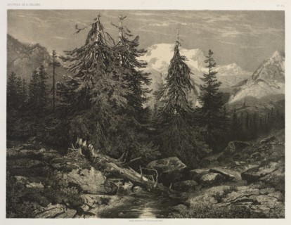Alpine Stream. Creator: Alexandre Calame (Swiss, 1810-1864).