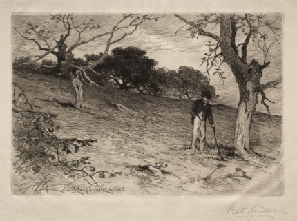 An Old New England Orchard, 1883. Creator: George Henry Smillie (American, 1840-1921).