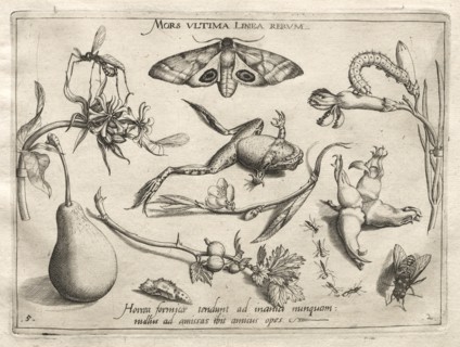 Archetypes and Studies: Death is the line that marks the end of all (Part II, plate 5), 1592. Creator: Joris Hoefnagel (Flemish, 1542-1601).