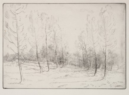 Avenue of Poplars. Creator: Alphonse Legros (French, 1837-1911).