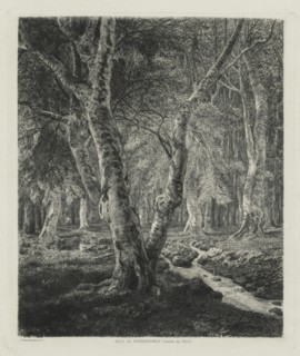 Bois de Pierrefonds, 1874. Creator: Adolphe Théodore Jules Martial Potémont (French, 1828-1883).