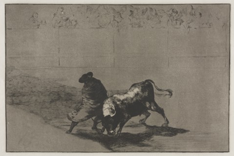 Bullfights: The Very Skilful Student of Falces, Wrapped in his Cape, Tricks the Bull..., 1876. Creator: Francisco de Goya (Spanish, 1746-1828).