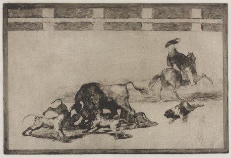 Bullfights: They Loose Dogs on the Bull, 1876. Creator: Francisco de Goya (Spanish, 1746-1828).