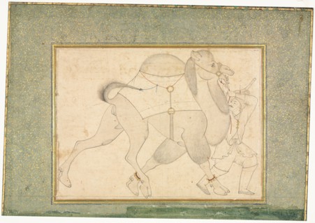Camel and Groom; Single Page Illustration, c. 1545-1576. Creator: Shaykh Muhammad (Iranian), style of.