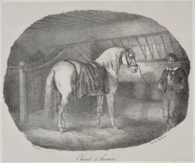 Cheval dHanovre. Creator: Théodore Géricault (French, 1791-1824).