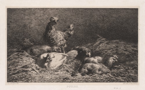 Chickens (Poutes), 1867. Creator: Charles-Émile Jacque (French, 1813-1894).