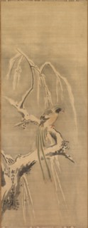 Chinese Bird on Snow-Laden Branch, 17th century. Creator: Kano Tan?y? (Japanese, 1602-1674).