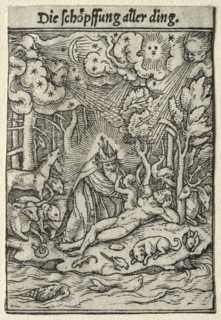 Dance of Death: The Creation. Creator: Hans Holbein (German, 1497/98-1543).