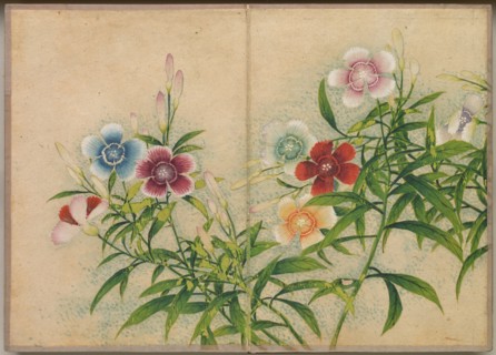 Desk Album: Flower and Bird Paintings (Pinks), 18th Century. Creator: Zhang Ruoai (Chinese).