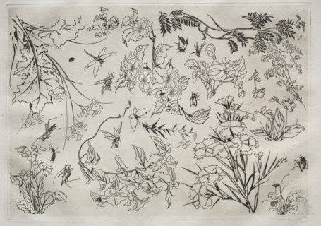 Dinner Service (Rousseau service): Flowers (no. 22), 1866. Creator: Félix Bracquemond (French, 1833-1914).