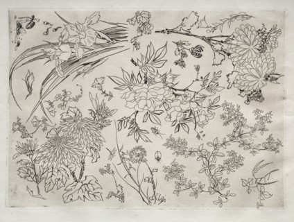 Dinner Service (Rousseau service): Flowers (no. 23), 1866. Creator: Félix Bracquemond (French, 1833-1914).