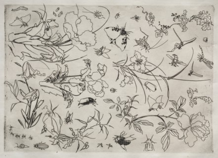 Dinner Service (Rousseau service): Flowers and Insects (no. 15), 1866. Creator: Félix Bracquemond (French, 1833-1914).