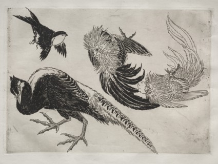 Dinner Service (Rousseau service): Pheasants and bird (no. 18), 1866. Creator: Félix Bracquemond (French, 1833-1914).