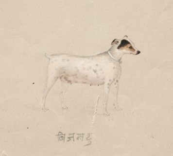 Dog, 1800s. Creator: Unknown.