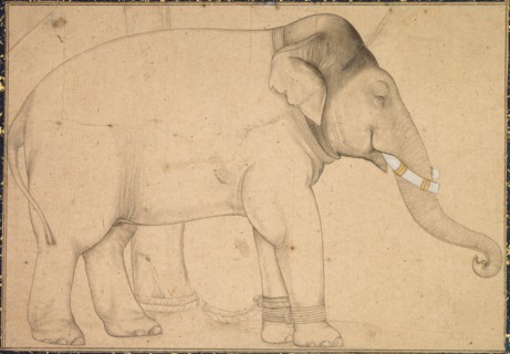 Drawing of an Elephant, c. 1700. Creator: Unknown.