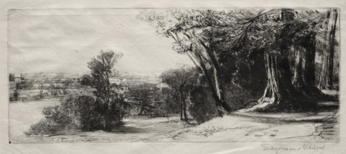 Early Morning, Richmond Park. Creator: Francis Seymour Haden (British, 1818-1910).