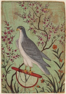 Falcon on a Perch, c. 1610. Creator: Unknown.