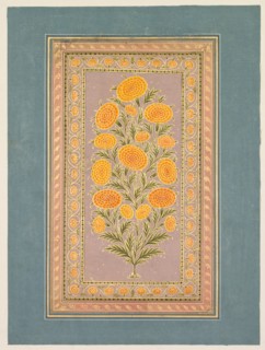 Flowering Marigold, c. 1765. Creator: Hunhar II (Indian, active mid-1700s), style of.