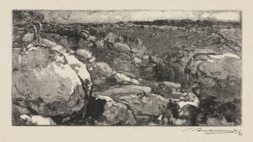 Fontainebleau Forest: The Cirque of Long-Rocher , 1888. Creator: Auguste Louis Lepère (French, 1849-1918).