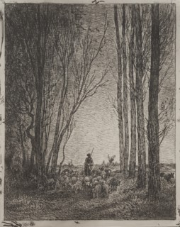 Gathering in the Flock, original impression 1862, printed in 1921. Creator: Charles François Daubigny (French, 1817-1878).